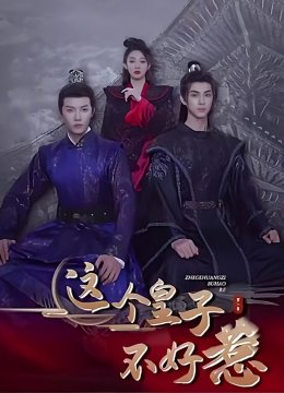 这个皇子不好惹