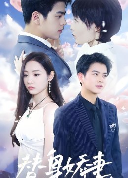 替身娇妻总裁追妻如命