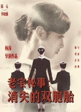 老宅秘事消失的双胞胎