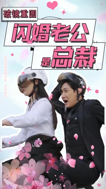 破镜重圆闪婚老公是总裁