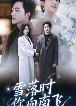 雪落时你向南飞