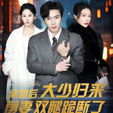 离婚后大少归来前妻双腿跪断了