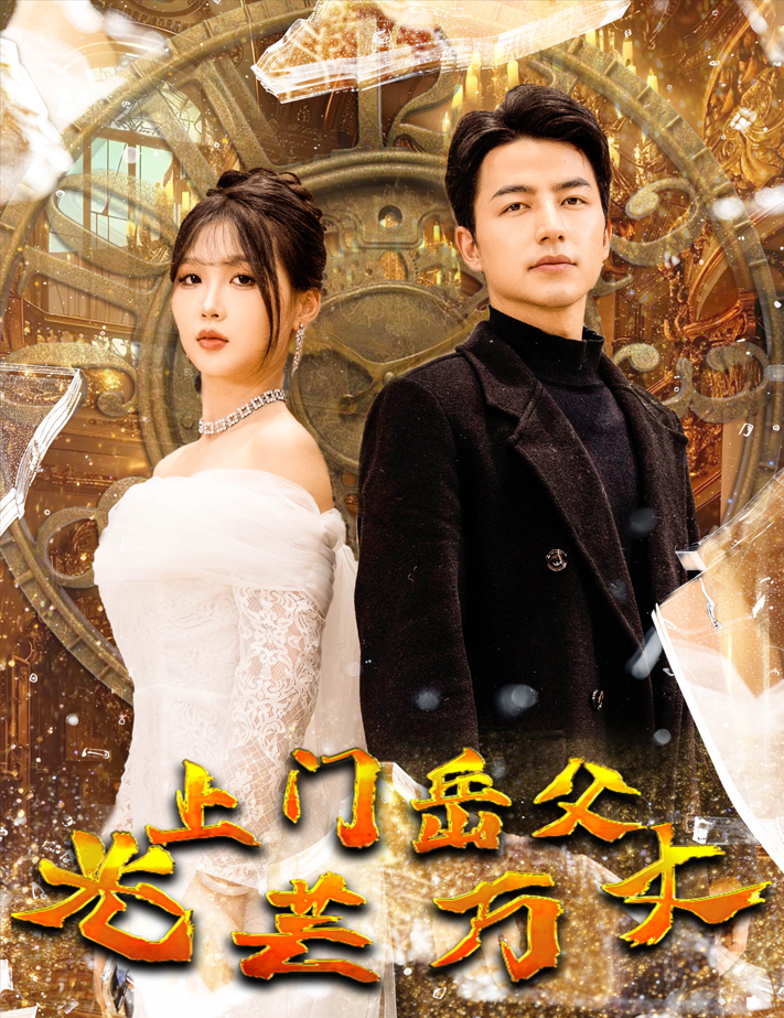 上门岳父光芒万丈