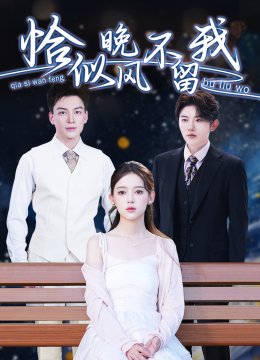 恰似晚风不留我