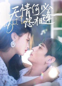 无情何必怨相逢