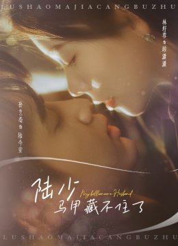 陆少马甲藏不住了