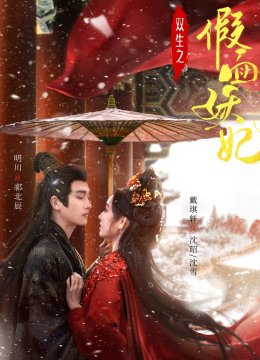 双生之假面妖妃