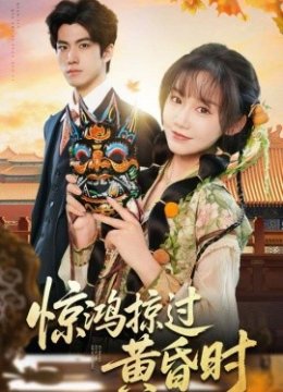 惊鸿掠过黄昏时