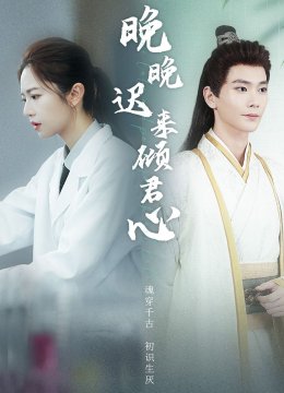 晚晚迟来倾君心