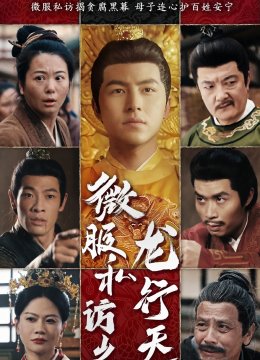 微服私访之龙行天下