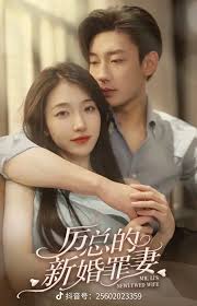 厉总的新婚罪妻