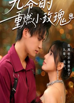 九爷的重燃小玫瑰