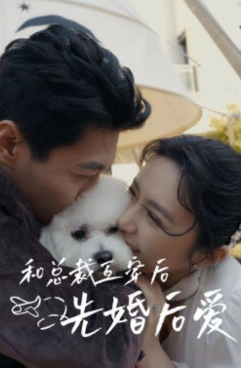 和总裁互穿后先婚后爱