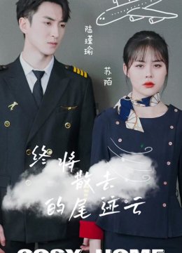 终将散去的尾迹云