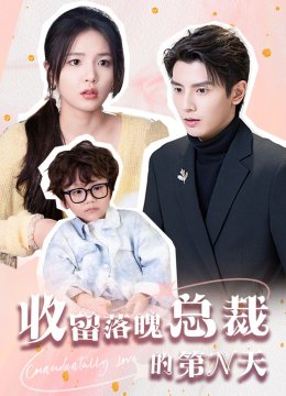 收留落魄总裁的第N天