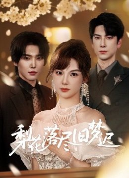 梨花落尽旧梦迟