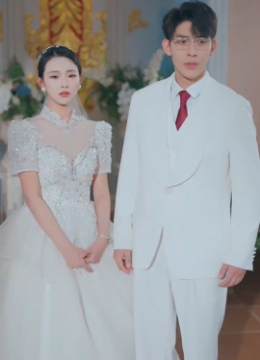 婚宠叶总对妻着迷