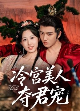 冷宫美人夺君宠