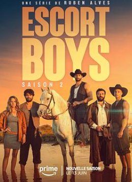 应召男郎第二季