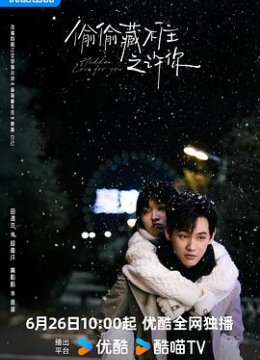 偷偷藏不住之许你