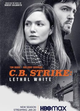 斯特莱克探案集 第四季