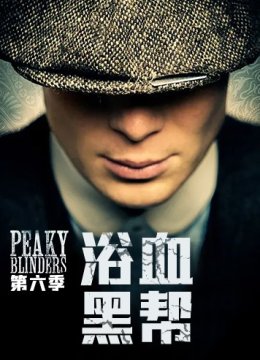 浴血黑帮 第六季