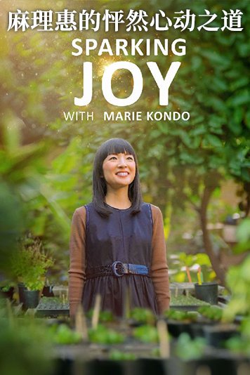 麻理惠的怦然心动之道 第一季