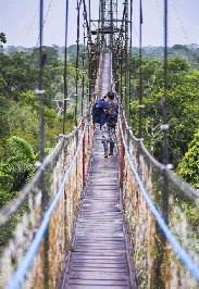 亚马孙之旅 第一季