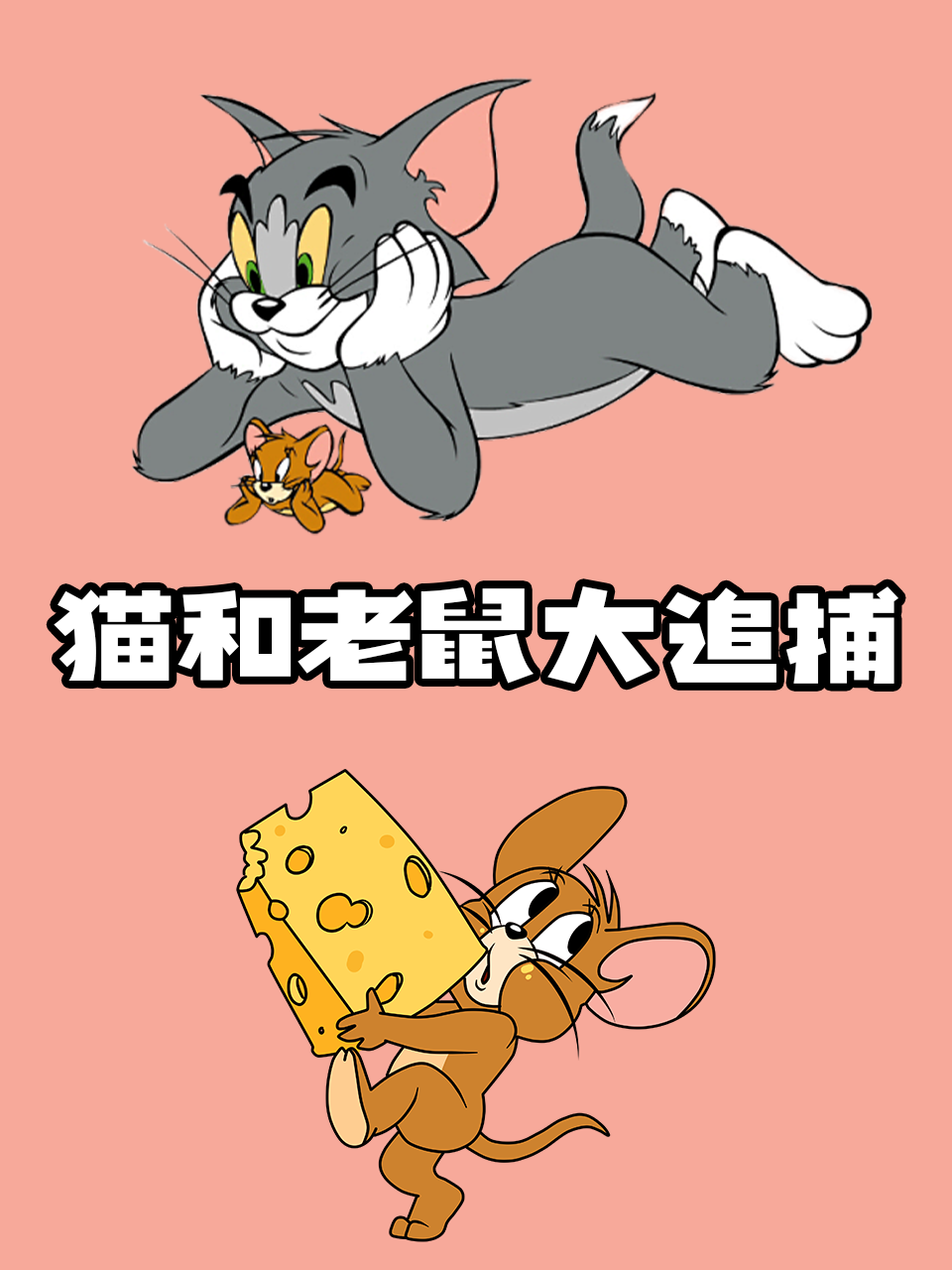 猫和老鼠大追捕