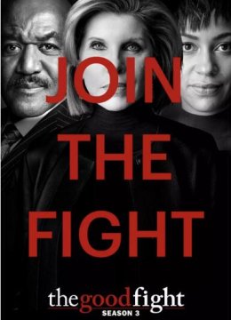 傲骨之战 第三季