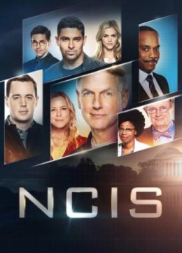 海军罪案调查处第十七季