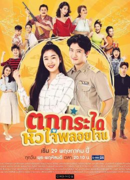 都是爱情惹的祸