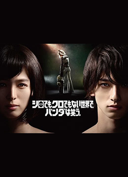 在不白不黑的世界里，熊猫笑了