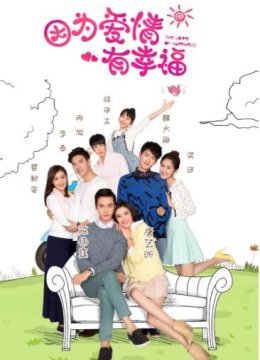 因为爱情有幸福DVD