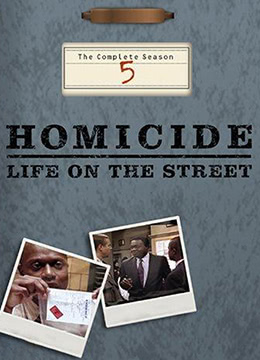 情理法的春天 第五季