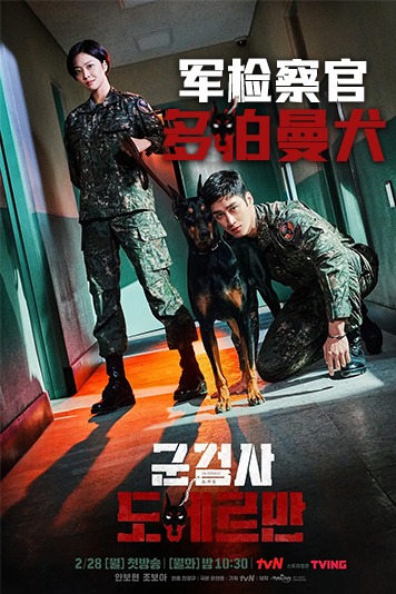 军检察官多伯曼犬