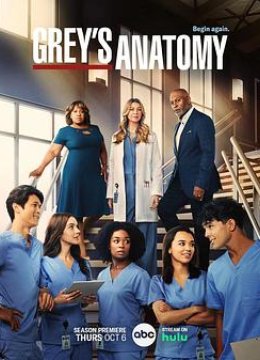 实习医生格蕾第十九季