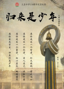 归来是少年
