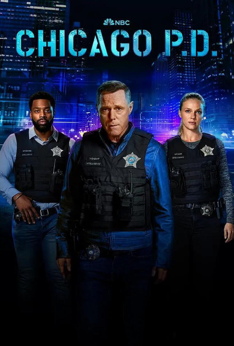 芝加哥警署第十一季