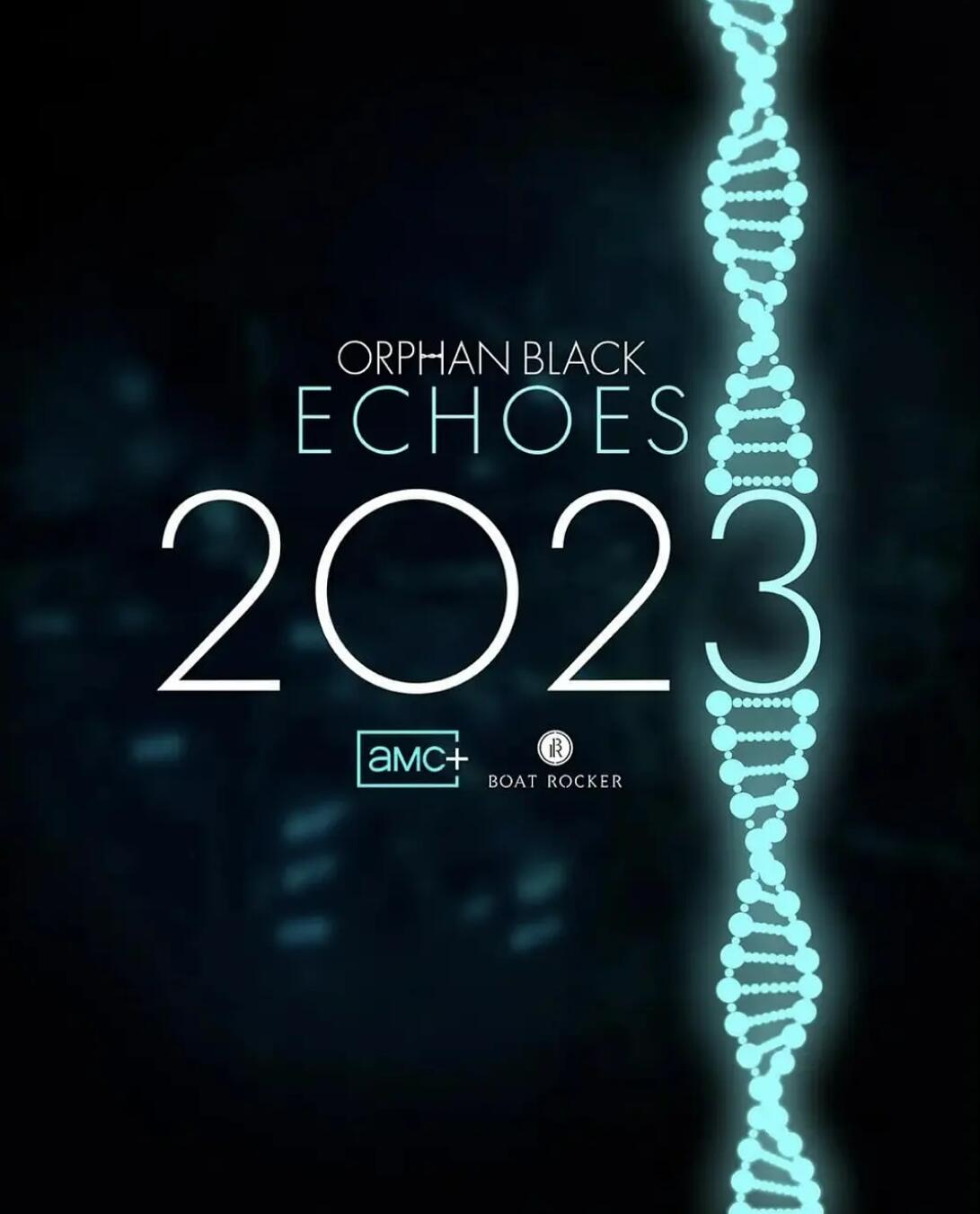 黑色孤儿：回响