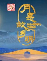 浙江卫视2024文化中国月是故乡明