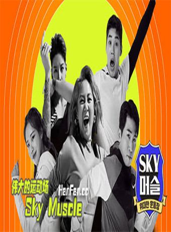 伟大的运动场:天空之肌