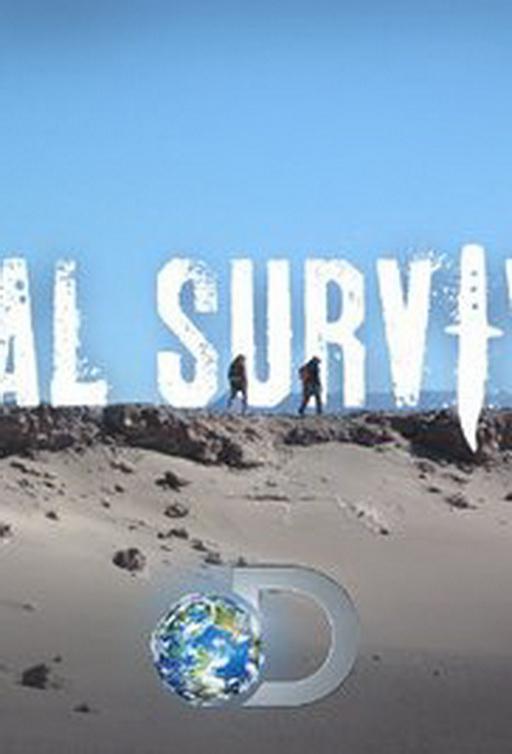 求生一加一 第三季