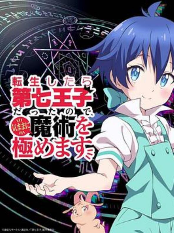 转生为第七王子，随心所欲的魔法学习之路