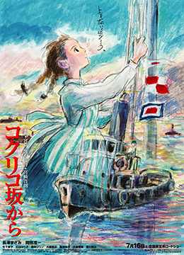 虞美人盛开的山坡