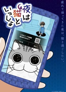 今晚有猫伴身边