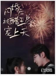 闪婚后被醋王总裁宠上天