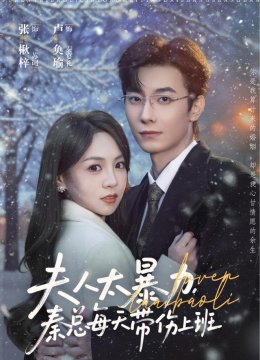 夫人太暴力，秦总每天带伤上班