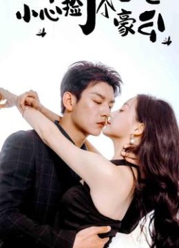 一不小心捡了个富豪老公