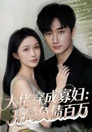 大佬穿成寡妇：开局负债百万